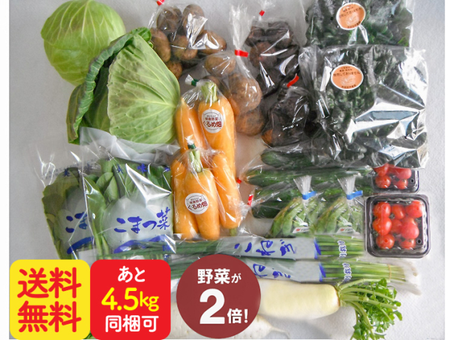 ダブル九州野菜セット【10.5kg】