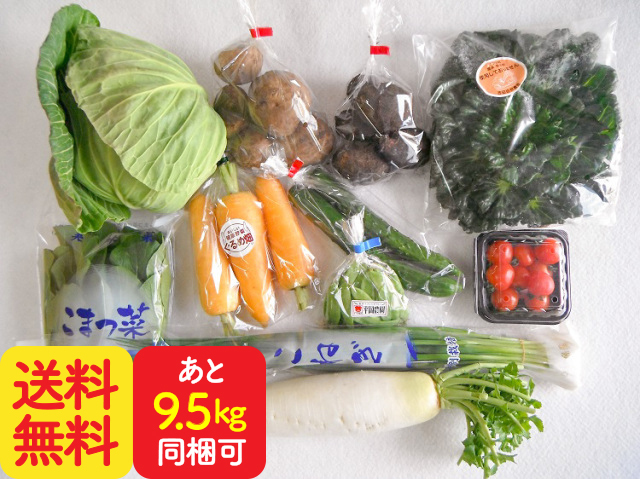 ★送料無料★九州野菜セット【5.5kg】