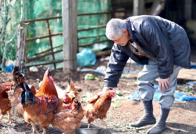 井之上ファームさん